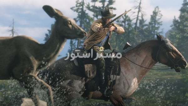 Red Dead Redemption 2 Game 2